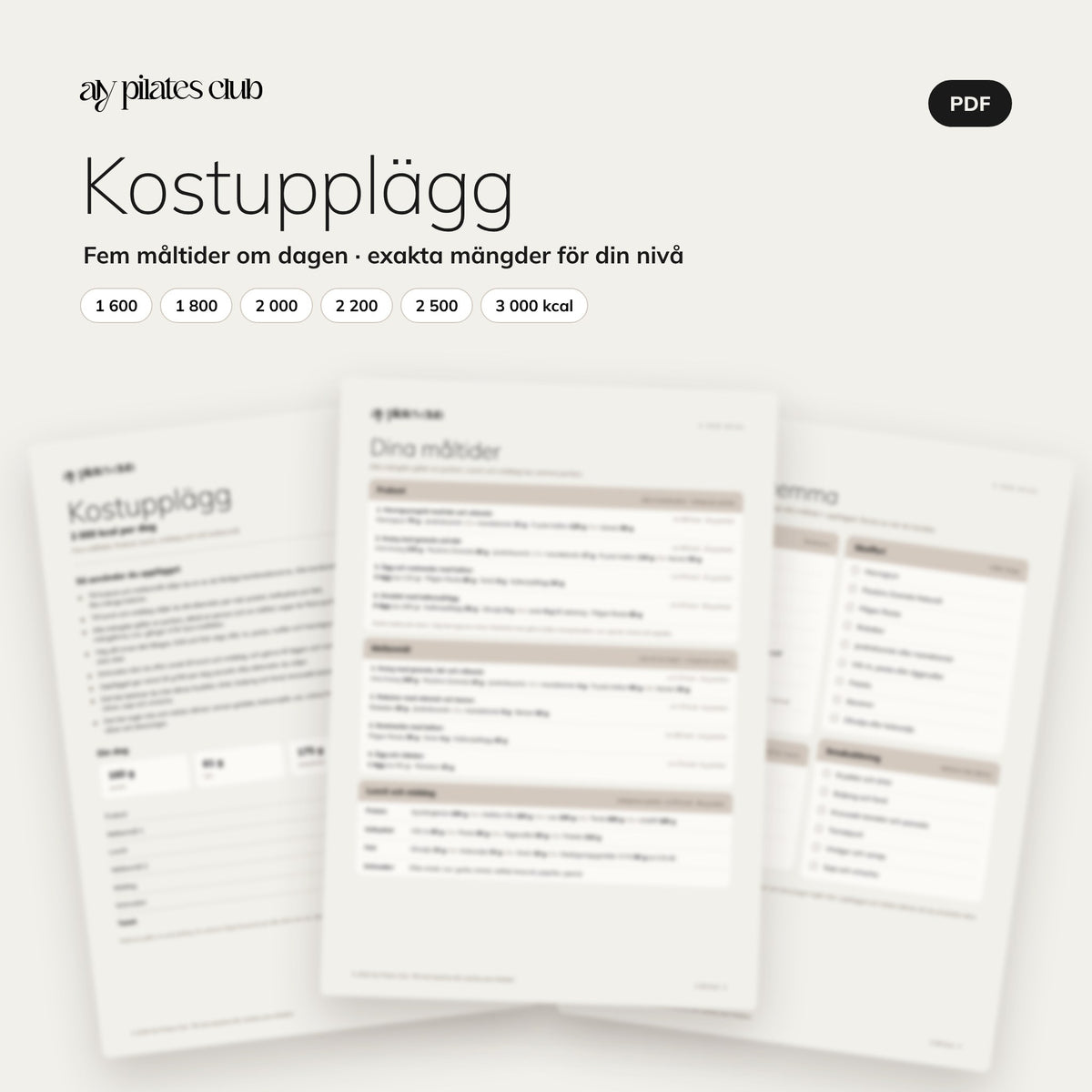 Kostupplägg